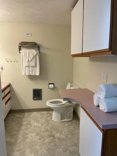 a bathroom with a toilet and a sink and towels at Cape Sands Inn in West Yarmouth