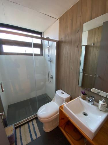a bathroom with a toilet and a sink and a shower at Casa de campo Matanzas in Navidad