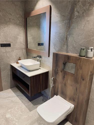 a bathroom with a sink and a toilet and a mirror at Skywood Villa Apartment in Lucknow