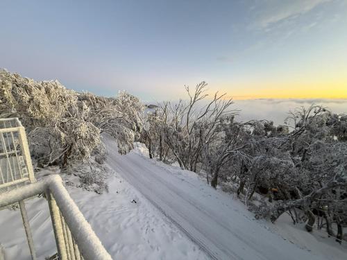 a snow covered road with trees on a mountain at 5min Walk to Lift 3BR Luxe Chalet with Views & Fire in Mount Buller