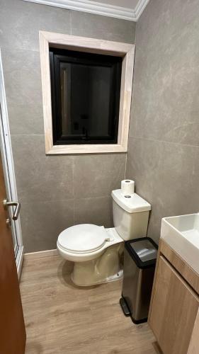 a bathroom with a toilet and a window in it at Casa Manzano ideal para Familias in Puerto Varas