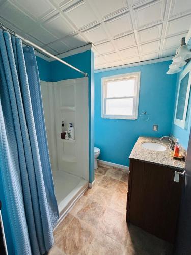 a blue bathroom with a shower and a sink at Cozy Corner Home Stay in Philadelphia