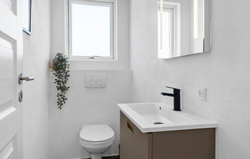a white bathroom with a toilet and a sink at Beautiful Home In Børkop With Sauna in Børkop
