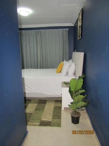 a bedroom with a white bed and a plant at The PHOMOLONG GUEST HOUSE in Roodepoort