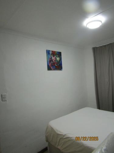 a bedroom with a bed and a picture on the wall at The PHOMOLONG GUEST HOUSE in Roodepoort
