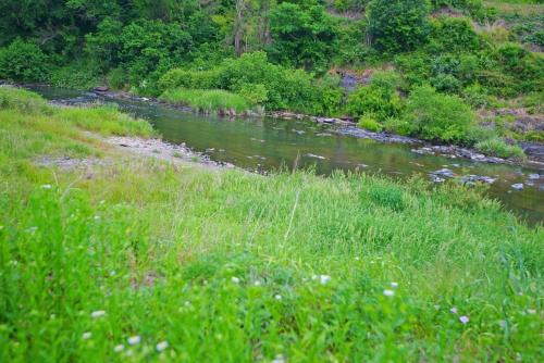 a river with a grassy field next to a riverngth at Cheongju Crepas Pension in Cheongju