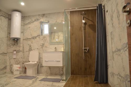 a bathroom with a shower and a toilet and a sink at Стаи за гости Мартинови in Zlatograd