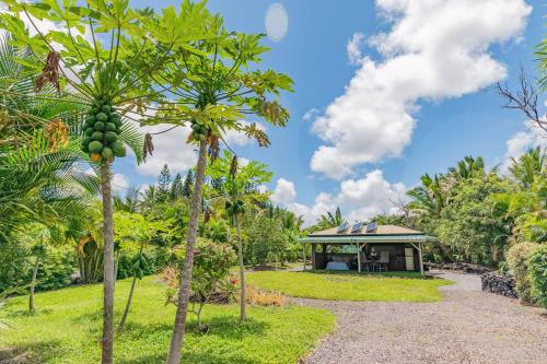 a resort with a palm tree and a building at Glamping Garden Getaway in Kalapana Sea View Estates