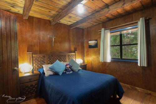 a bedroom with a bed with blue sheets and a window at Cabaña Vista al Cielo - Cabañas Terrazul in Pinal de Amoles