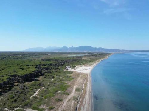 an aerial view of a beach and the ocean at Villa immersed in the pine forest in Sardinia in Arborea 