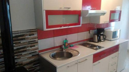 a small kitchen with a sink and a microwave at House Ilija Hodak in Seliste Dreznicko