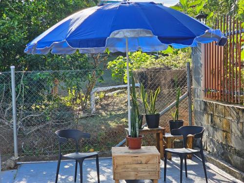 a blue umbrella with three chairs and a table with plants at Two Bedroom Holiday Home- Olosara Sigatoka Guest House in Singatoka