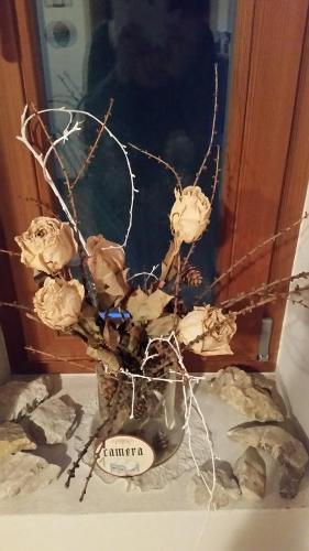 a vase filled with dried flowers on a table at Apartments Haus Martin in Nova Levante