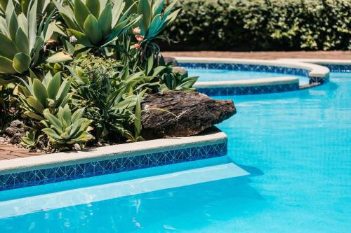 two swimming pools with plants and a rock in the water at Checkers Resort in Terrey Hills