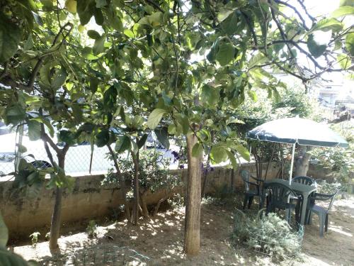 Κήπος έξω από το B&B A Casa Di Nonna