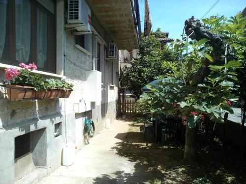 Κήπος έξω από το B&B A Casa Di Nonna