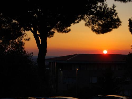 Residence Frascati – Photos 4