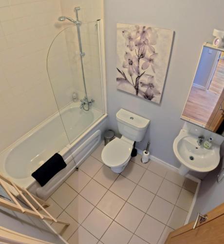 a bathroom with a shower and a toilet and a sink at 12 Courthouse Square in Clifden