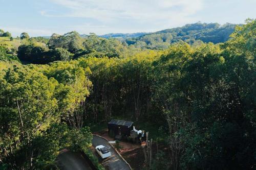 an aerial view of a house in the middle of a forest at Luxury Mirror Home in Byron Bay Hinterland in Binna Burra