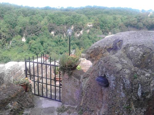 Un paisaje natural cerca del departamento