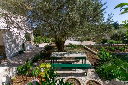 Gallery image of Apartments Tomaš in Trogir