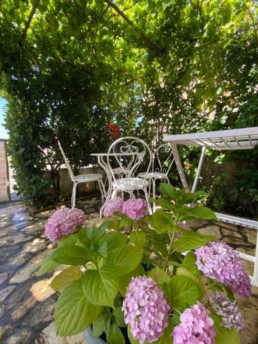 Photo de la galerie de l'établissement Apartment Ally, à Crikvenica