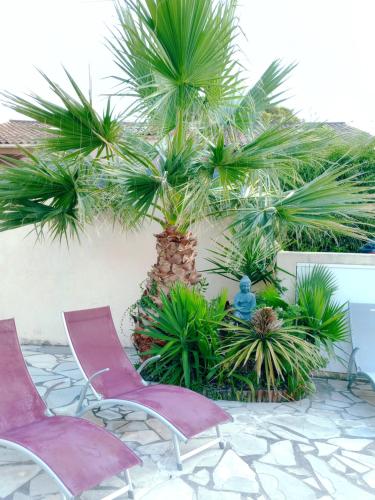 deux chaises roses et des palmiers dans une cour dans l'établissement Rêve D'azur, 2 chambres, maison Julia en Bord de Mer à La Nartelle, Piscine partagée, Parking & Terrasse BBQ, Wifi et Draps Inclus plage à pied, à Sainte-Maxime