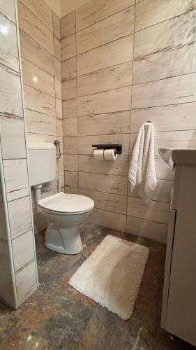 a bathroom with a toilet and a sink at Apartmaji Winter Garden Kranjska Gora in Kranjska Gora