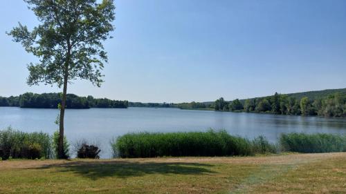 a view of a lake with a tree in the foreground at Les chambres du Chateau de Farge-Allichamps in Farges-Allichamps
