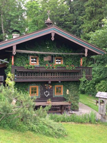 a house covered in ivy with a bench in front at Binderhäusl in Thiersee