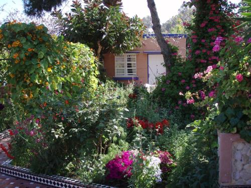 Un jardín fuera de Hôtel l'Hippocampe