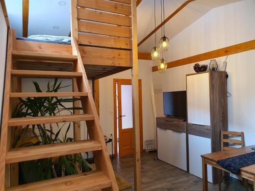 a room with a bunk bed and a kitchen at Apartmaji Daniel in Kranjska Gora