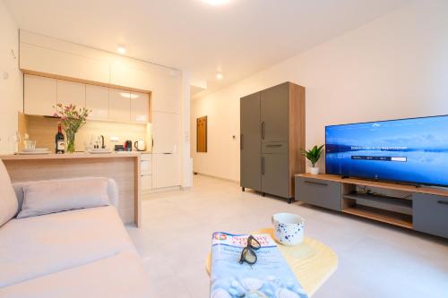 Una sala de estar con un televisor de pantalla plana grande. en Laguna Beskidów Resort - Studio Comfort, en Zarzecze