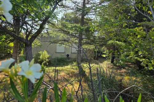 a view of a house through the trees at Charmante maison provençale in Les Taillades