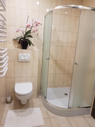 a bathroom with a shower and a toilet at Pokoje Bakos Radocza in Radocza