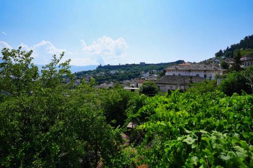 a view of a town from a field of plants at Jons Apartment in Gjirokastër
