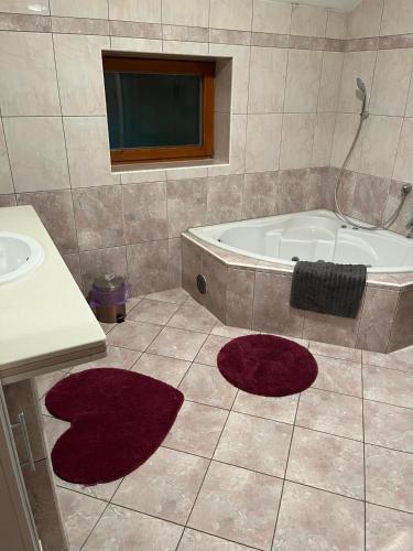 Gallery image of Apartman Tomislav in Tomislavgrad