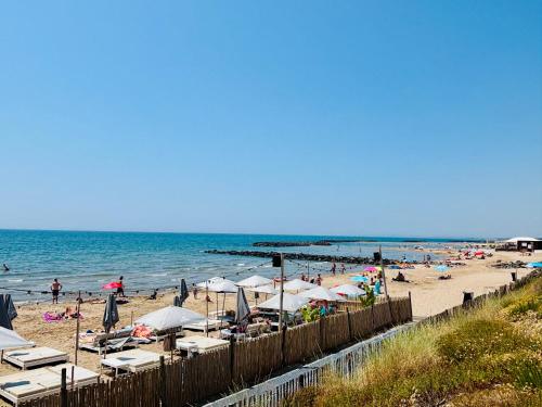 LE 209, 3min à pieds de la Plage, tout confort, Terrasse, 2 Parking privée
