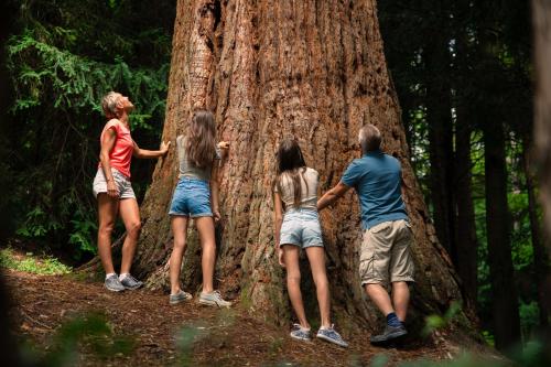 a group of people standing around a tree at Pohorski Dom in Pohorje