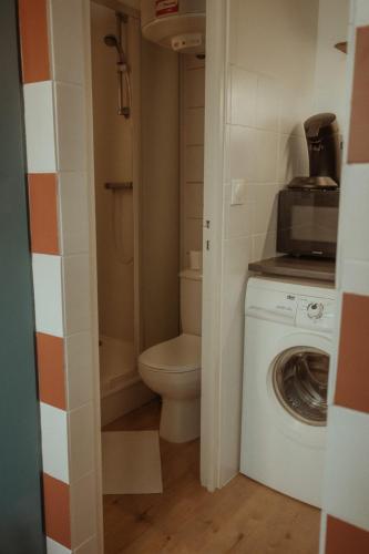 La salle de bains est pourvue de toilettes et d'un lave-linge. dans l'établissement Victor Hugo, à Besançon