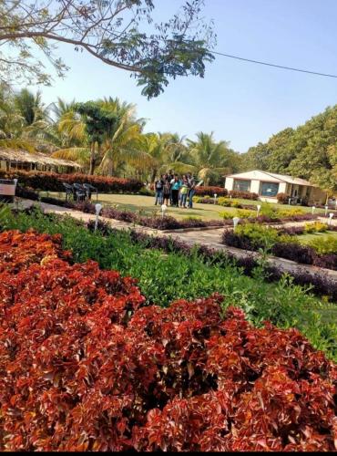 a group of people walking around a garden with red flowers at Radhe Farm in Jāmb