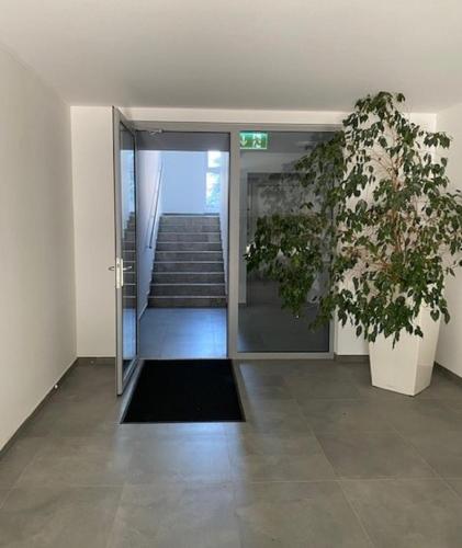an empty hallway with a door and a plant at RELAX apartmán Trenčianske Teplice in Martinske Hole