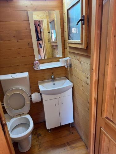 a bathroom with a toilet and a sink and a mirror at Casute Enea Baile Figa cu Aer condiționat in Agrişu de Sus