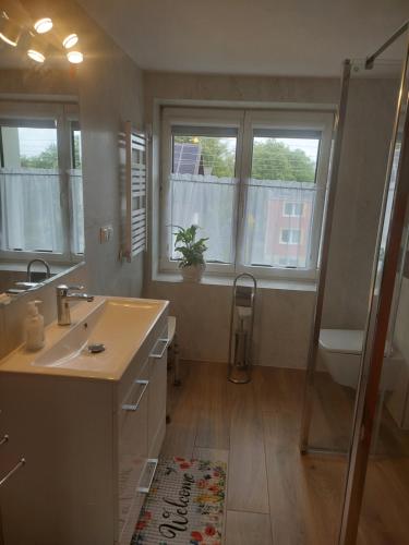 a bathroom with a sink and a shower and a toilet at Relaks XXL in Kartuzy