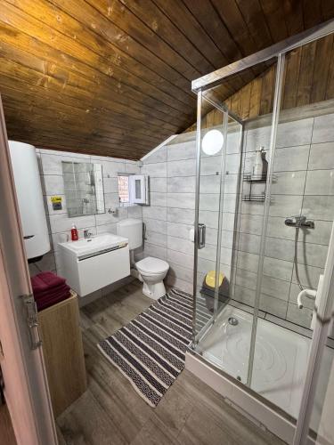 a bathroom with a shower and a toilet at Casa Daria in Râmnicu Vâlcea