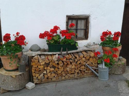 a window with red geraniums in pots on a wall at Oberseebachhof in Scheffau am Wilden Kaiser