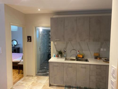 a kitchen with a sink and a shower in a room at Lydia's City View Apartment in Ioannina
