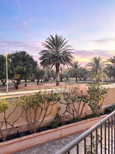 a view of a park with palm trees and plants at Villa Martina in Cambrils