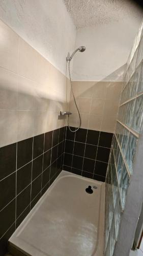 une salle de bain avec baignoire et douche dans l'établissement Location de charme au coeur de la Corse - Piscine privative - calme - nature, à San-Lorenzo