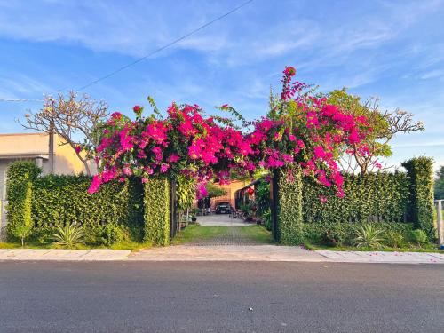a garden with pink flowers on a fence at Ho Tram Chill House in Xuyên Mộc